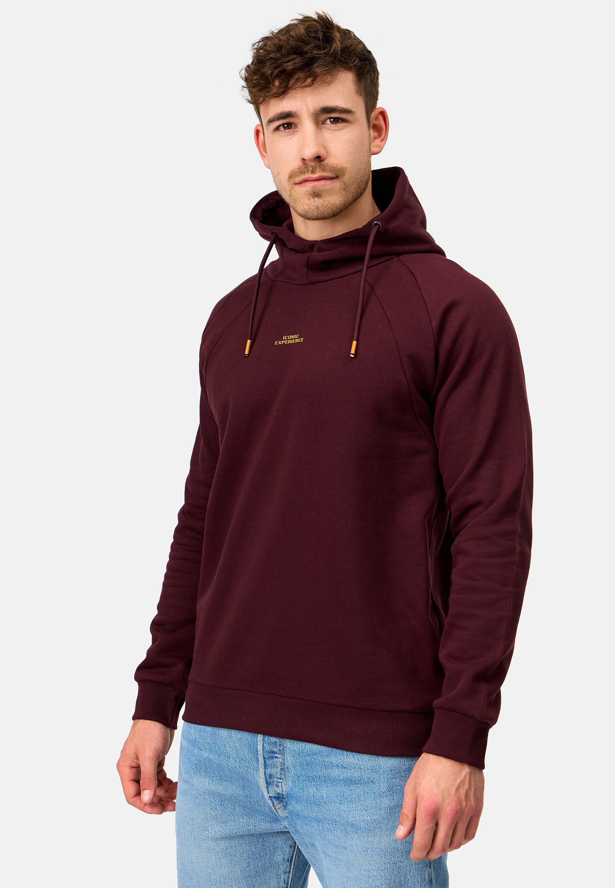 Kapuzenpullover INVir Produktbild