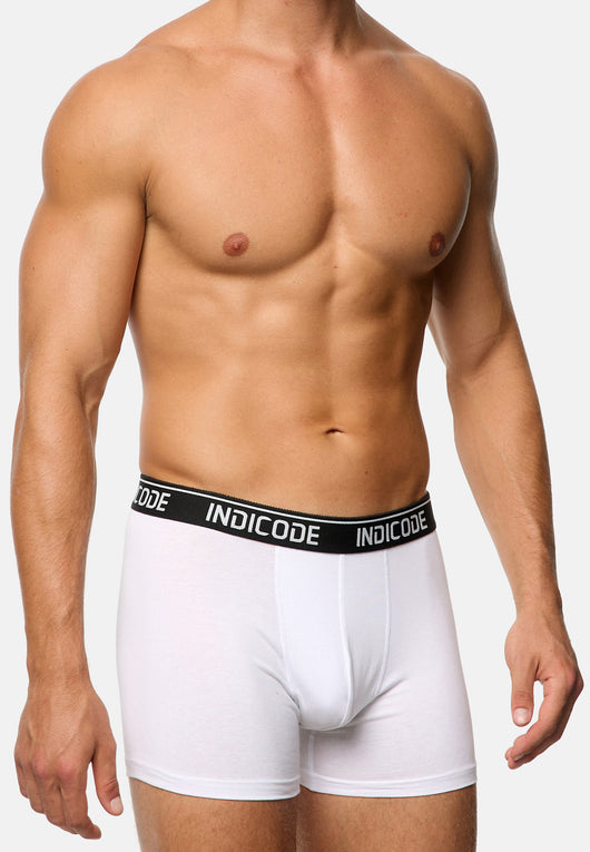 Boxershorts INMilano